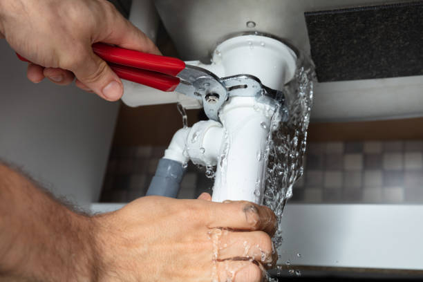 Best Mold removal after water damage  in Loves Park, IL