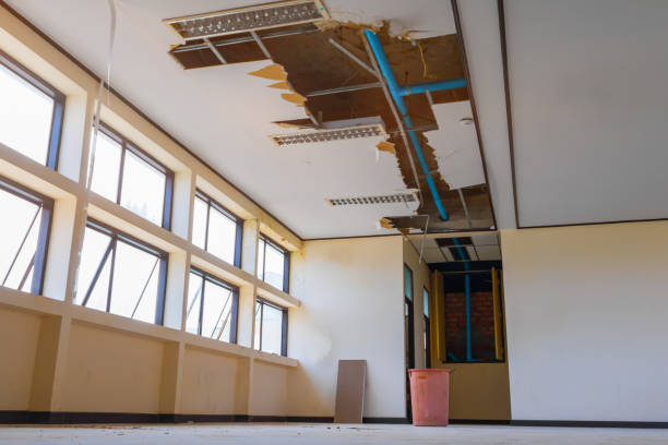 Best Emergency water damage restoration  in Loves Park, IL