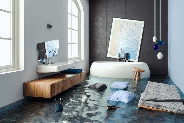 Best Water damage restoration near me  in Loves Park, IL