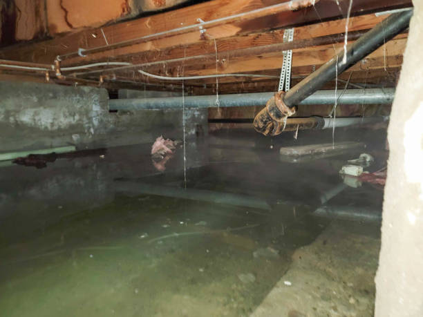 Best 24-hour water damage restoration  in Loves Park, IL