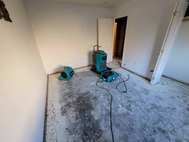 Best Water damage cleanup near me  in Loves Park, IL