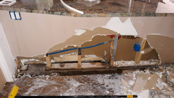 Best Water damage restoration cost  in Loves Park, IL