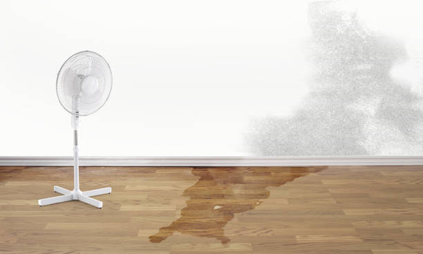 Best Residential water damage restoration  in Loves Park, IL