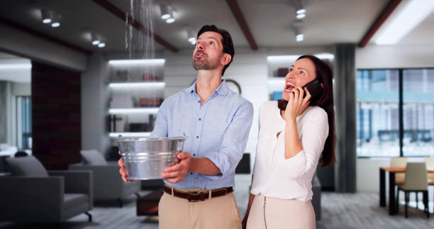 Best Mold removal after water damage  in Loves Park, IL